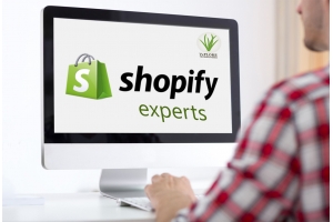 Shopify：引領你通往代發(fā)貨之路