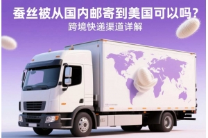 蠶絲被從國(guó)內(nèi)郵寄到美國(guó)可以嗎？跨境快遞渠道詳解