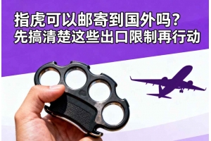 指虎可以郵寄到國外嗎？先搞清楚這些出口限制再行動