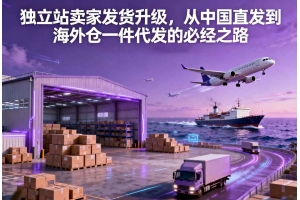 獨立站賣家發(fā)貨升級，從中國直發(fā)到海外倉一件代發(fā)的必經(jīng)之路