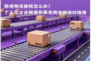 跨境物流被稅怎么辦？個(gè)人與企業(yè)跨境包裹關(guān)稅合規(guī)應(yīng)對指南