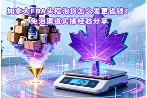 加拿大FBA頭程泡貨怎么發(fā)更省錢？免泡渠道實(shí)操經(jīng)驗(yàn)分享